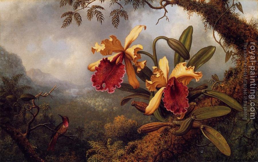 Martin Johnson Heade : Orchids and Hummingbird IV